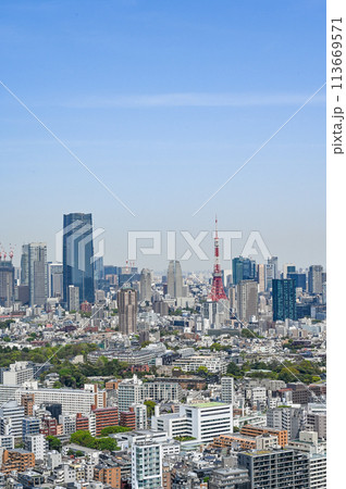 首都東京の都市風景 113669571