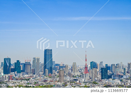 首都東京の都市風景 首都東京の都市風景 113669577