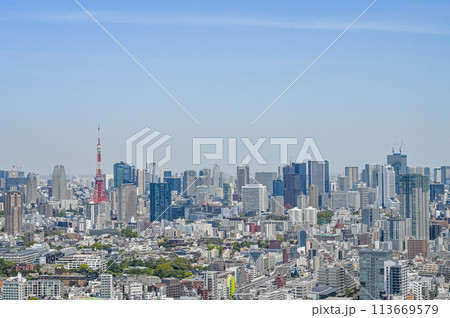 首都東京の都市風景 113669579