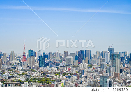 首都東京の都市風景 首都東京の都市風景 113669580