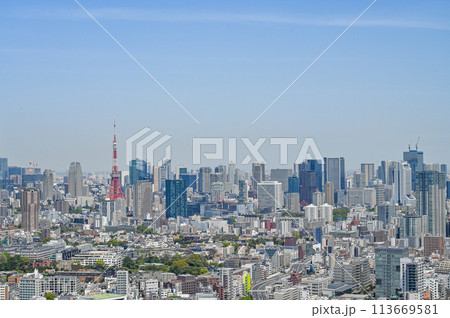 首都東京の都市風景 113669581