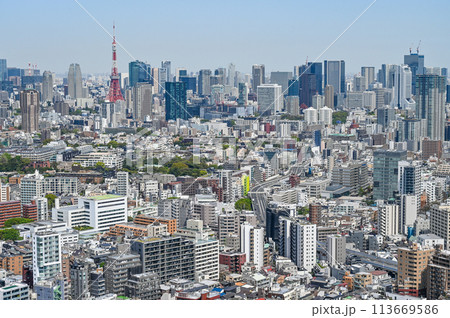 首都東京の都市風景 113669586