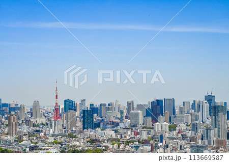 首都東京の都市風景 113669587