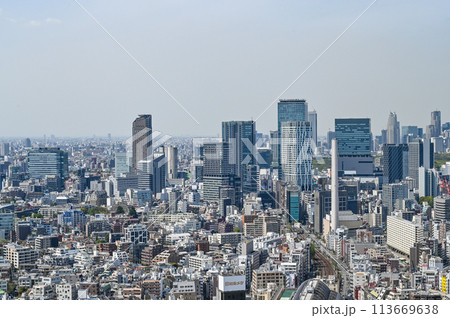 首都東京の都市風景 首都東京の都市風景 113669638