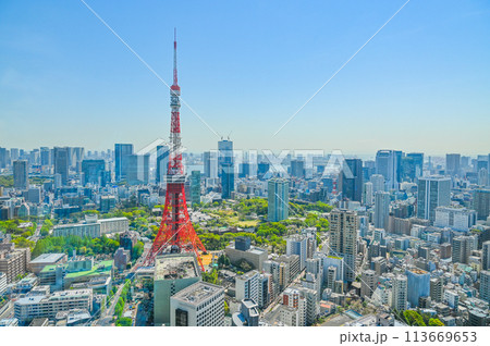 首都東京の都市風景 113669653