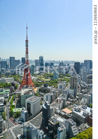 首都東京の都市風景 113669663