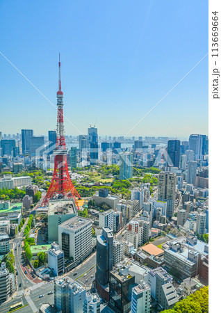 首都東京の都市風景 首都東京の都市風景 113669664