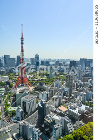 首都東京の都市風景 113669665