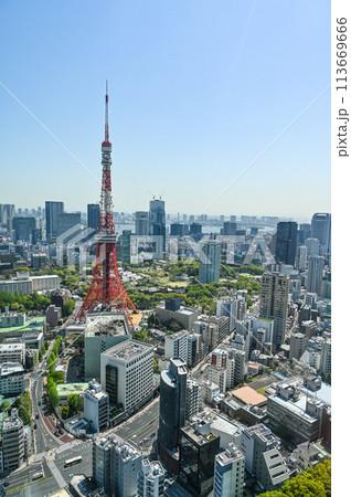 首都東京の都市風景 113669666