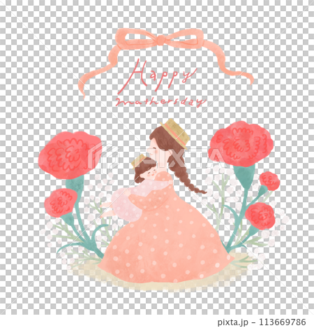 Illustration of carnations given on Mother's Day 1 113669786