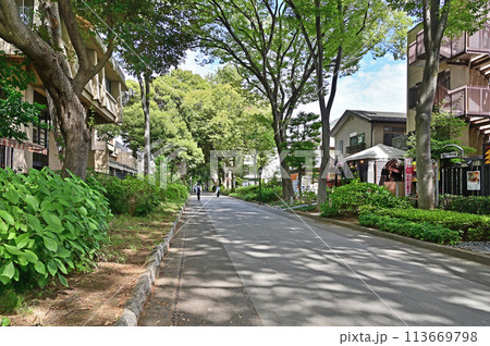中山道大宮宿散歩・武蔵一宮 氷川神社 氷川参道 中山道大宮宿散歩・武蔵一宮 氷川神社 氷川参道 113669798