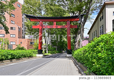 中山道大宮宿散歩・武蔵一宮 氷川神社　一の鳥居　氷川参道 113669803