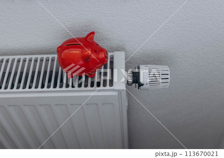 Red piggy bank on your home radtator. Red piggy bank on your home radtator. 113670021