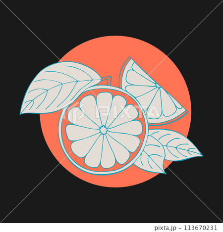 Grapefruit stilyzed hand drawing sketch on color circle, dark background. Label, emblem, logo, icon. Grapefruit stilyzed hand drawing sketch on color circle, dark background. Label, emblem, logo, icon. 113670231