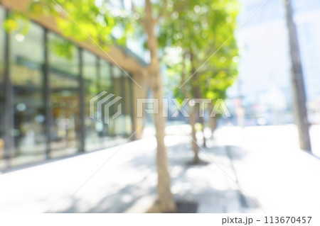 初夏のビジネス街の背景ぼかし 113670457