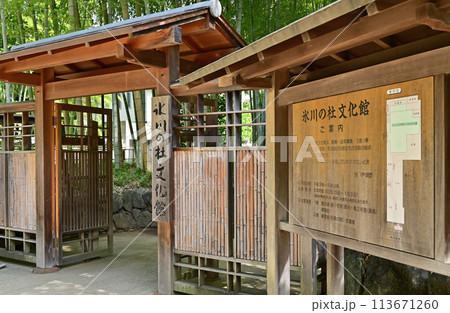 中山道大宮宿散歩・氷川の杜文化館 中山道大宮宿散歩・氷川の杜文化館 113671260