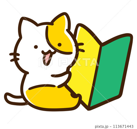大きな初心者マークを抱えるかわいいねこのキャラクターのデフォルメイラスト 113671443