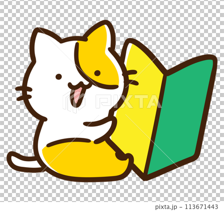 大きな初心者マークを抱えるかわいいねこのキャラクターのデフォルメイラスト 113671443