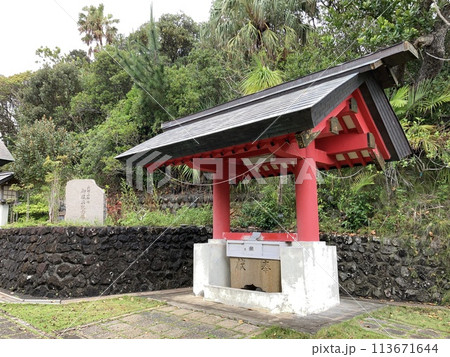 UNESCO heritage nature at Chichi jima Bonin island, Ogasawara. 113671644
