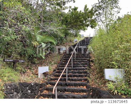 UNESCO heritage nature at Chichi jima Bonin island, Ogasawara. 113671645