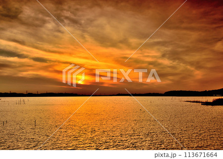 千葉県 手賀沼自然ふれあい緑道と手賀曙橋からの夕景 千葉県 手賀沼自然ふれあい緑道と手賀曙橋からの夕景 113671664