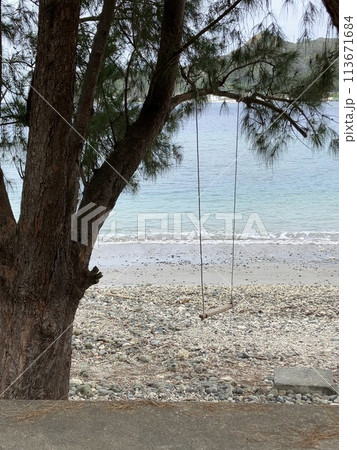 UNESCO heritage nature at Chichi jima Bonin island, Ogasawara. 113671684