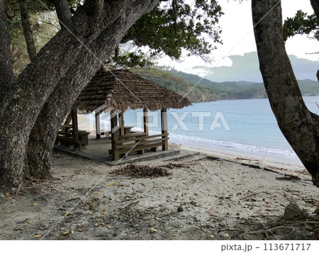 UNESCO heritage nature at Chichi jima Bonin island, Ogasawara. 113671717