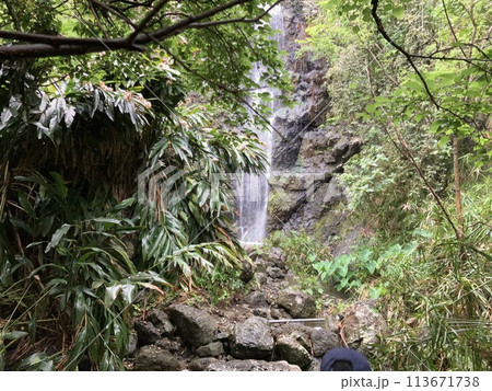 UNESCO heritage nature at Chichi jima Bonin island, Ogasawara. 113671738