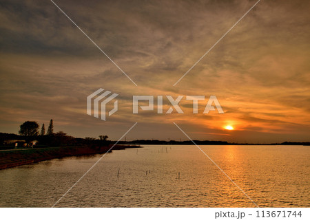 千葉県 手賀沼自然ふれあい緑道と手賀曙橋からの夕景 千葉県 手賀沼自然ふれあい緑道と手賀曙橋からの夕景 113671744