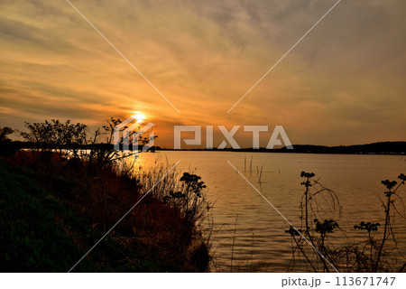 千葉県　手賀沼自然ふれあい緑道と手賀曙橋からの夕景 113671747