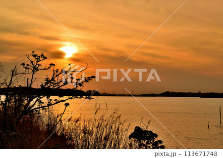 千葉県 手賀沼自然ふれあい緑道と手賀曙橋からの夕景 千葉県 手賀沼自然ふれあい緑道と手賀曙橋からの夕景 113671748