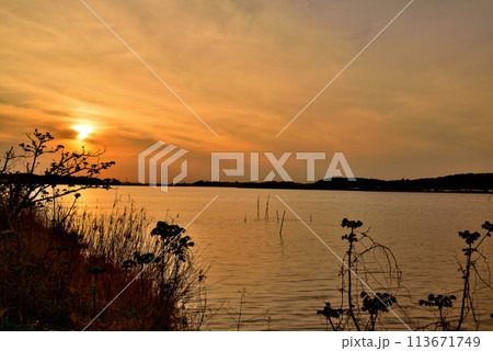 千葉県 手賀沼自然ふれあい緑道と手賀曙橋からの夕景 千葉県 手賀沼自然ふれあい緑道と手賀曙橋からの夕景 113671749