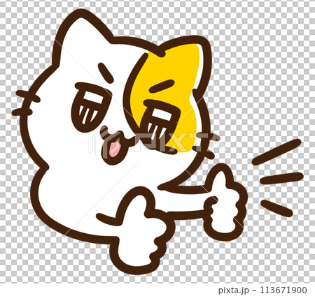 キラキラした瞳で全力いいねをするかわいいねこのキャラクターのデフォルメイラスト 113671900