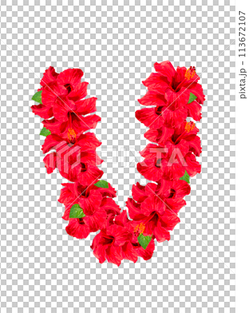 用於芙蓉射線（紅色）合成 113672107