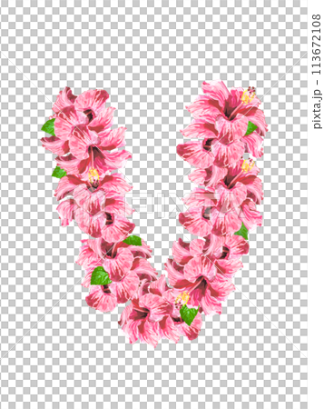 Hibiscus Lei (Pink) for compositing 113672108