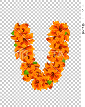 Hibiscus Lei (Orange) for Compositing 113672109