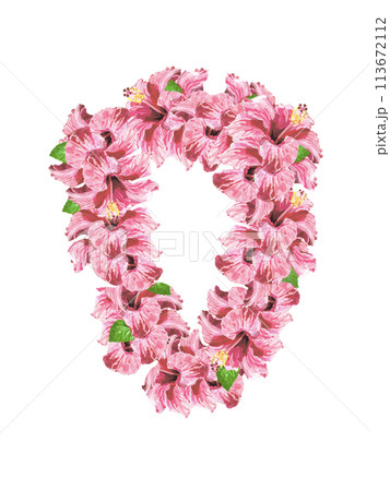 ハイビスカスのレイ（ピンク） 113672112