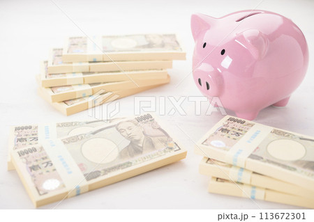 豚の貯金箱とお金 113672301
