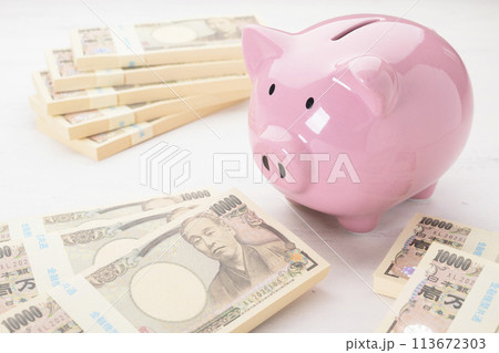 豚の貯金箱とお金 113672303
