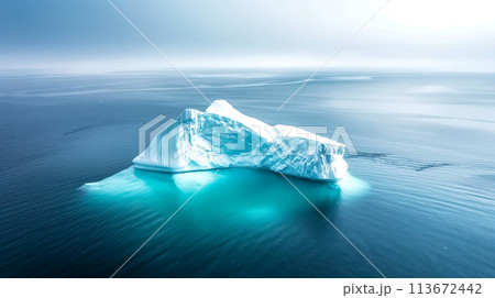氷山の壮大な景色と温暖化 beautiful glacier and global warming 氷山の壮大な景色と温暖化 beautiful glacier and global warming 113672442