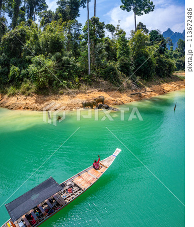 Encounter with a family of wild elephants in Khao Sok national park, on the Cheow lan lake in Surat 113672486