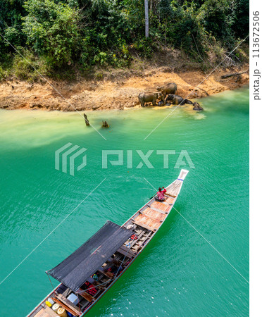 Encounter with a family of wild elephants in Khao Sok national park, on the Cheow lan lake in Surat 113672506