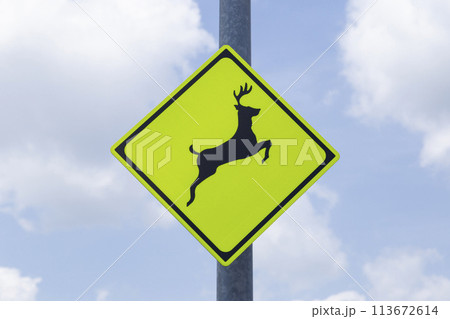 動物注意の道路標識 113672614