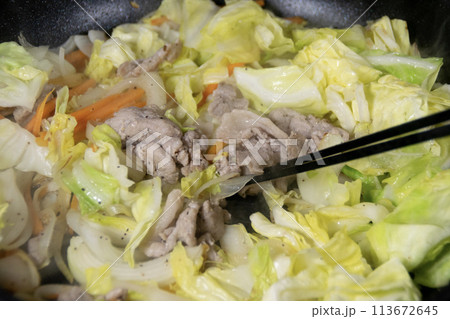 野菜と豚肉の炒め物の写真 野菜と豚肉の炒め物の写真 113672645