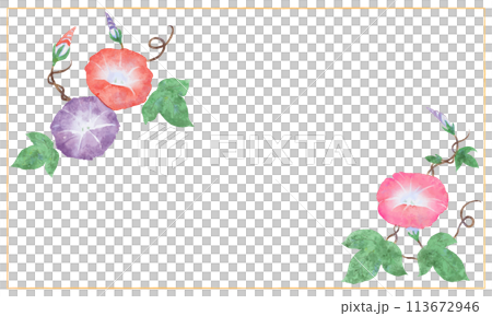 水彩で描いた朝顔のフレーム素材 113672946