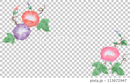 水彩で描いた朝顔のフレーム素材 113672947