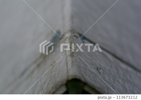 苔と埃で汚れたベランダ 苔と埃で汚れたベランダ 113673212