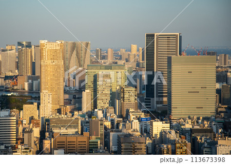 高層ビルから眺める東京都心部のとても美しい風景 113673398