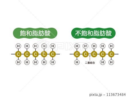 オイルの種類　飽和脂肪酸　不飽和脂肪酸　油　分子構造 113673484