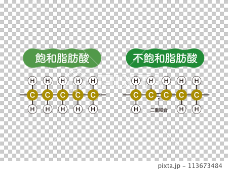 オイルの種類　飽和脂肪酸　不飽和脂肪酸　油　分子構造 113673484